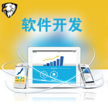 軟件外包服務報價指南 從高到低九品價格體系詳解