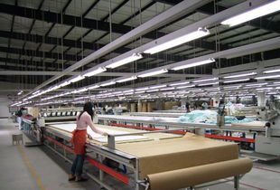 優質工廠成稀缺資源，服裝加工與軟件外包行業面臨訂單執行困局