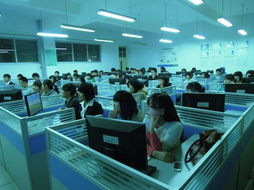 青島職業技術學院軟件與服務外包學院 培養軟件外包服務專業人才的搖籃